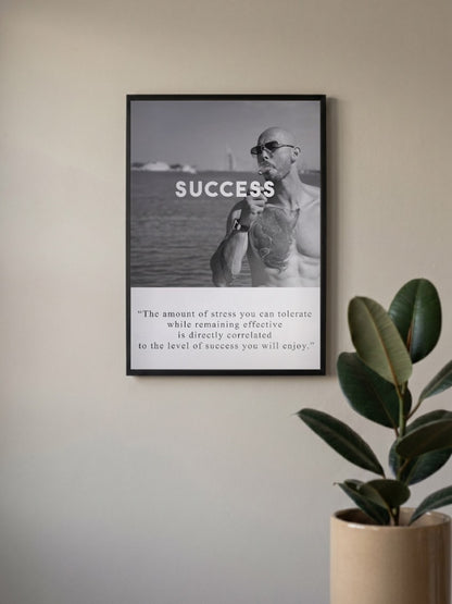 Success Stress Quote Motivational Poster