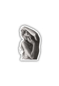 Taylor Swift | Swiftie Soul | Sticker