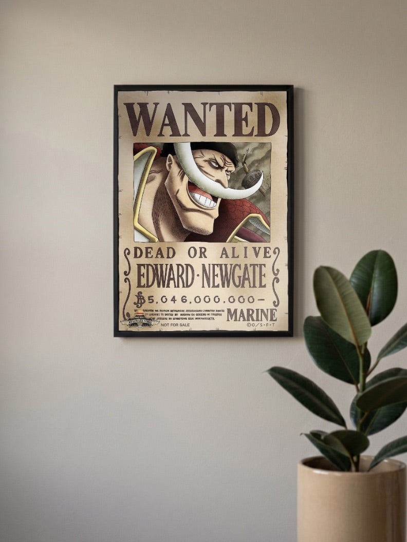 WHITEBEARD - WANTED POSTER