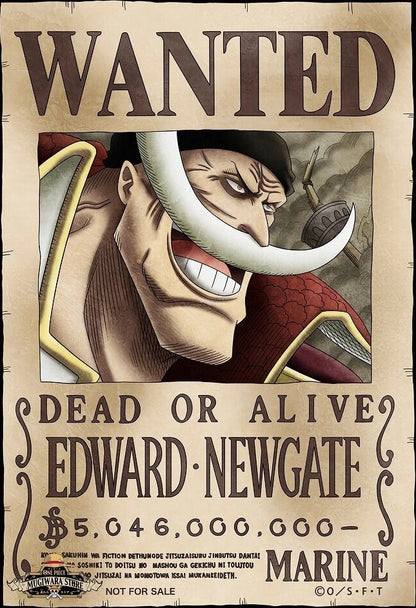 WHITEBEARD - WANTED POSTER – Posterwa