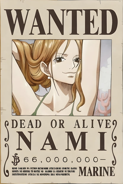 NAMI - WANTED POSTER