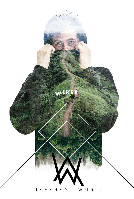 Alan Walker Poster