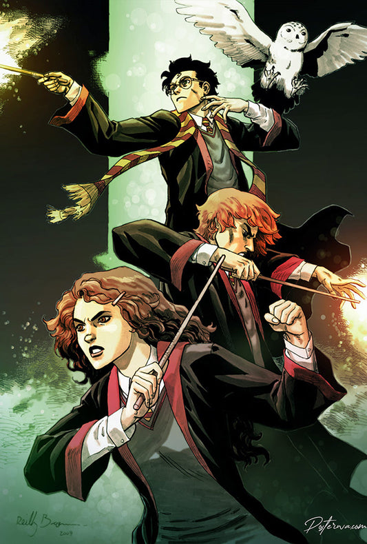 Harry Potter trio Poster