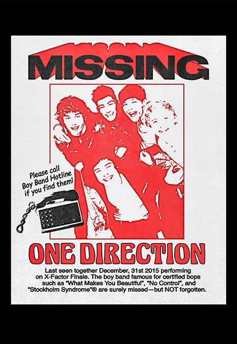 One Direction Missing Poster